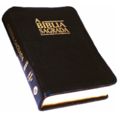 Biblia 2